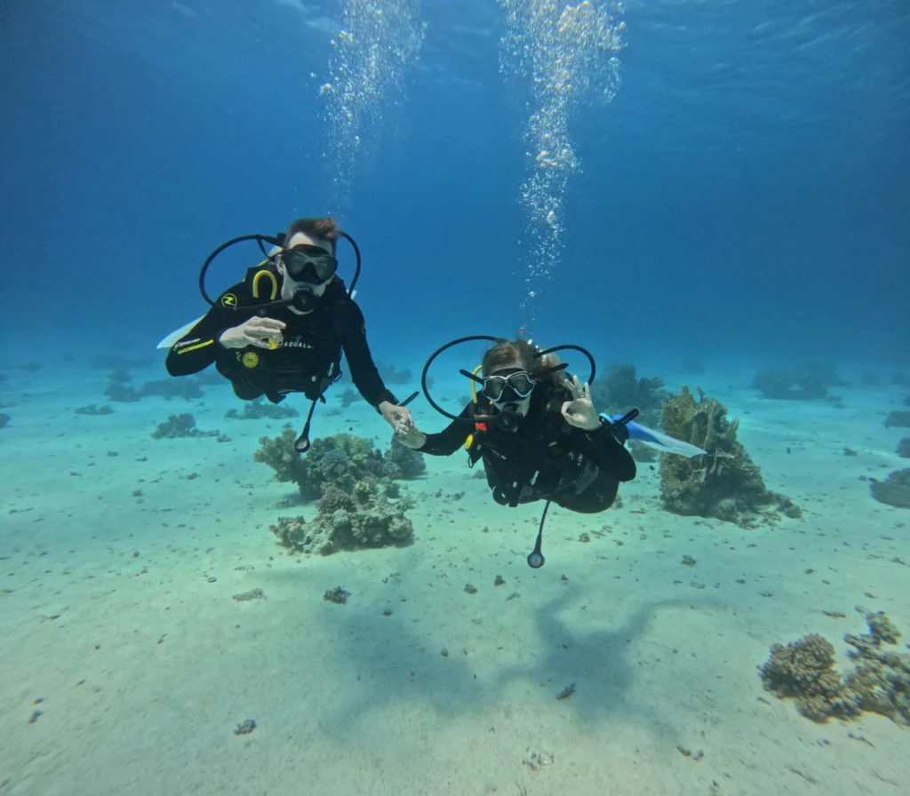 gptempdownload33 2048x1792 (1)