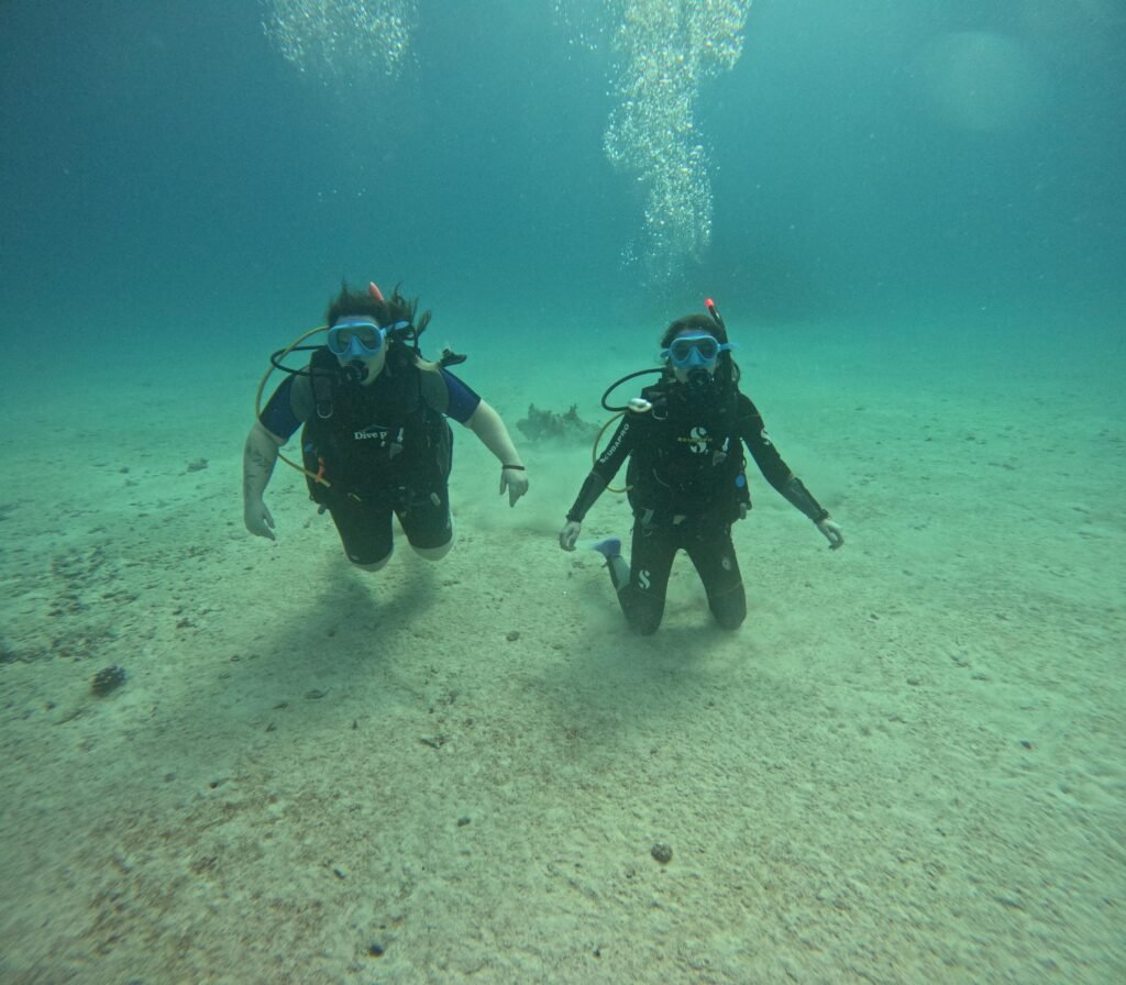 whatsapp image 2025 02 12 at 7.41.11 pm (1)