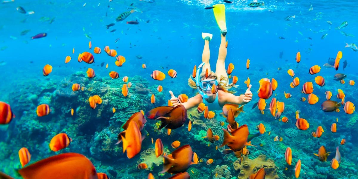 private snorkeling trip from hurghada egypt tours portal