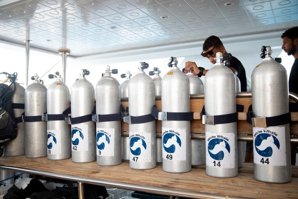 whatsapp image 2025 09 28 at 11.02.22 am (2)