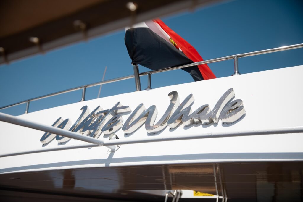 whatsapp image 2025 09 28 at 11.03.35 am (5)