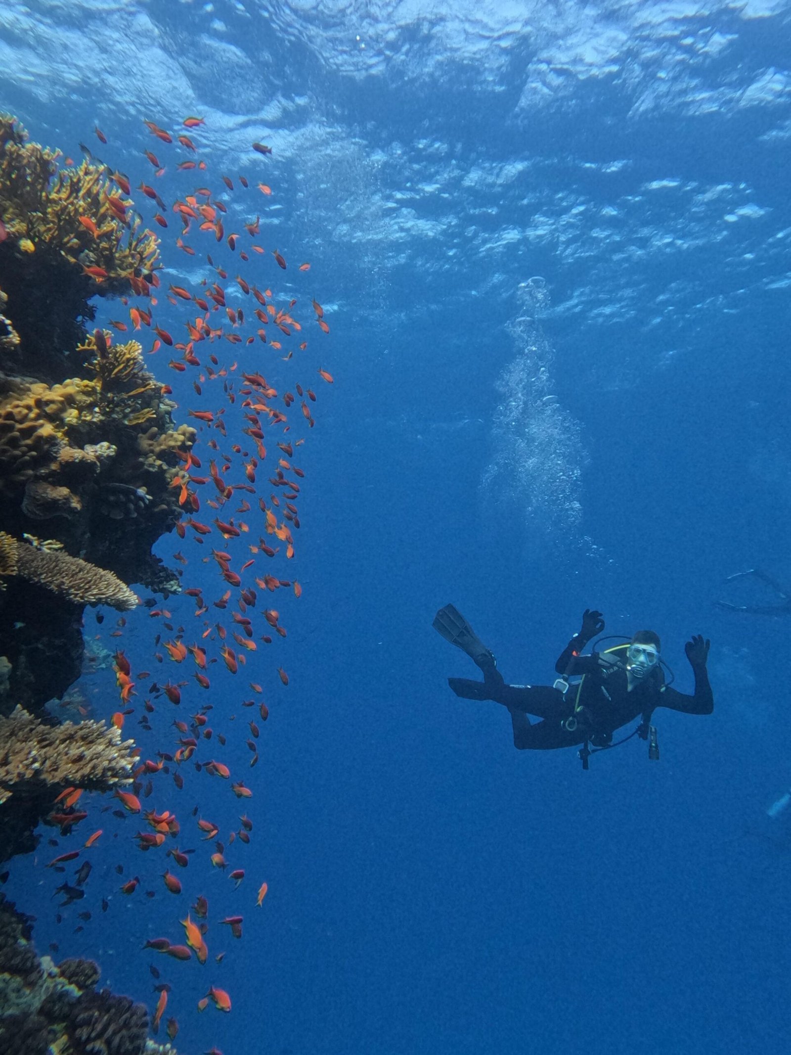 whatsapp image 2025 09 28 at 2.31.10 pm