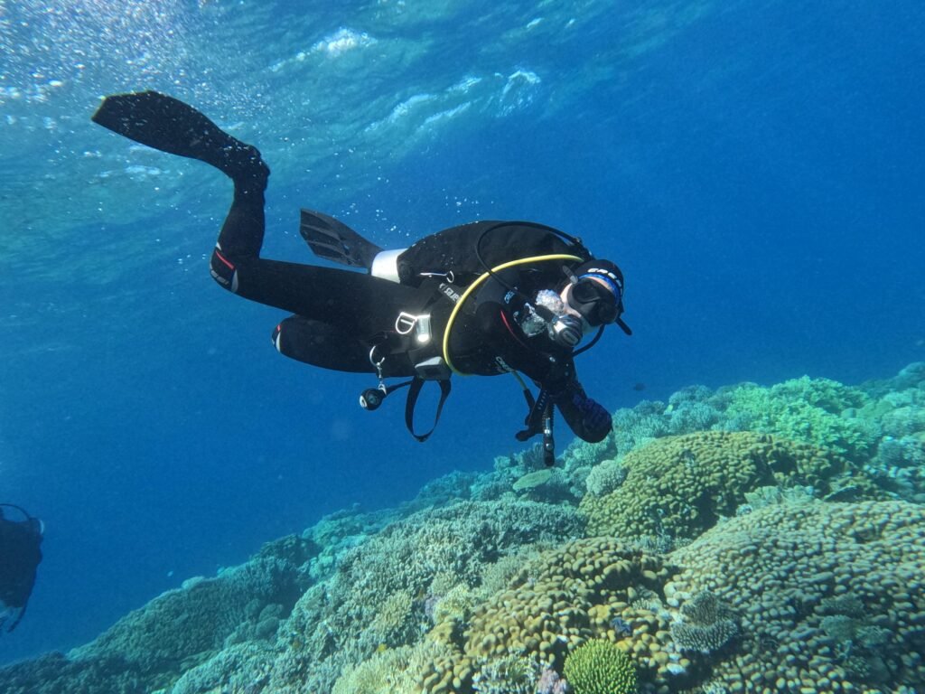 whatsapp image 2025 09 28 at 2.31.14 pm